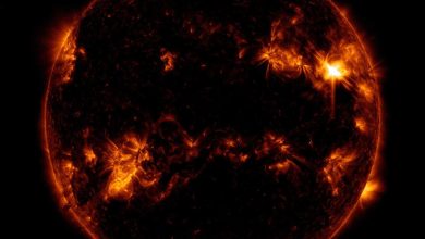 the Sun erupting with a bright solar flare