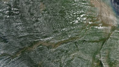 aerial view over dense rainforest canopy