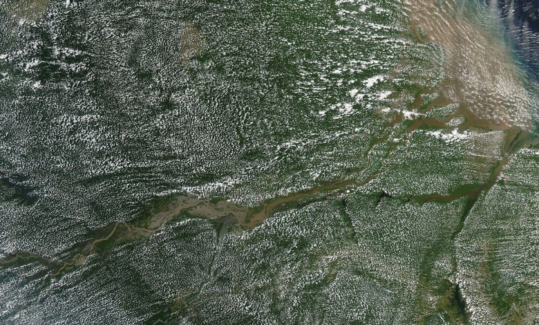 aerial view over dense rainforest canopy